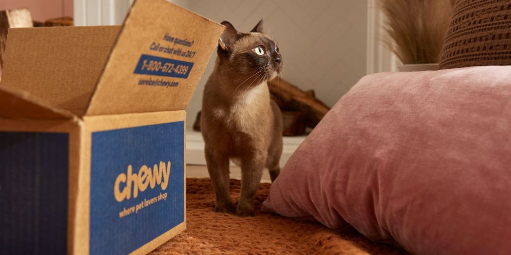 Chewy says customers are becoming more ‘discerning,’ but shares rally on surprise profit