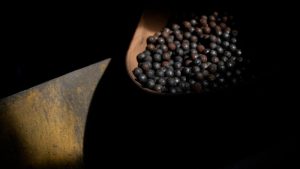 Canada launches C$6.4bn minerals push as race to counter China heats up