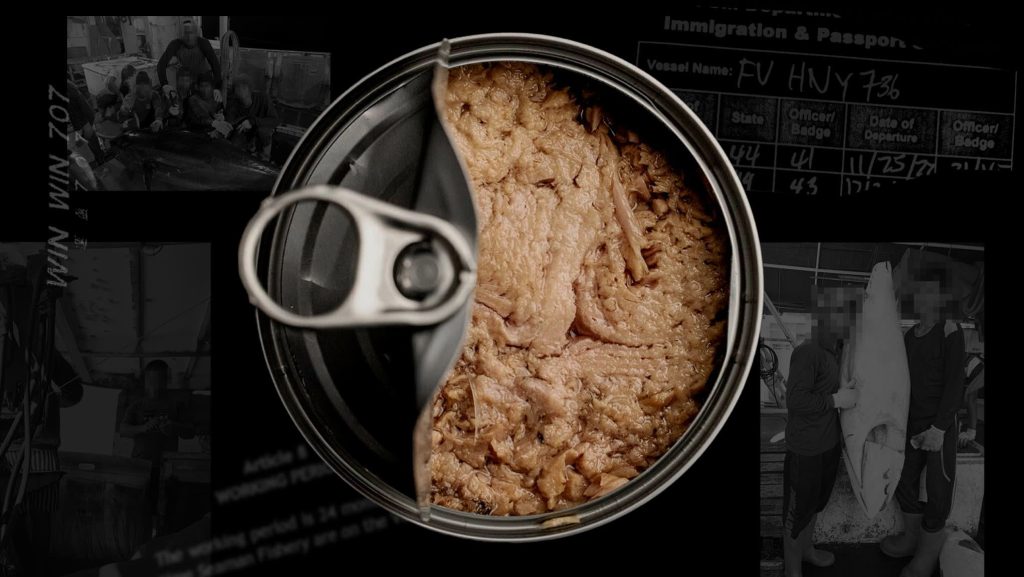 The dark truth behind supermarket tuna